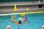 WWPolo vs CC  Wheaton College Women’s Water Polo compete in their sports inaugural match vs Connecticut College. - Photo By: KEITH NORDSTROM : Wheaton, water polo, inaugural